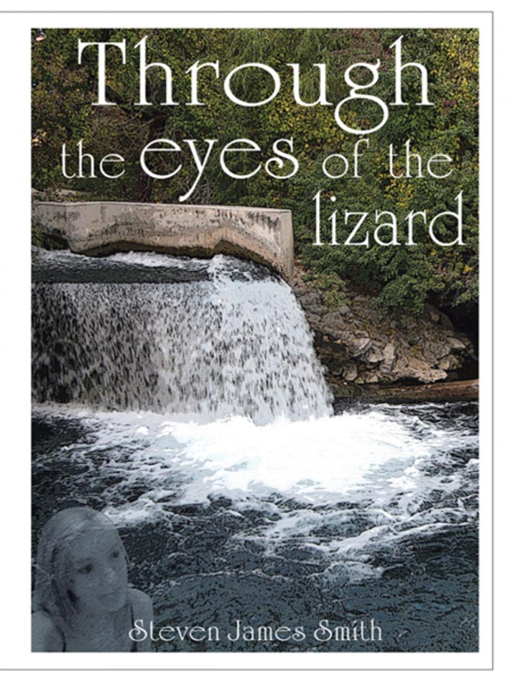 Big bigCover of Through the Eyes of the Lizard