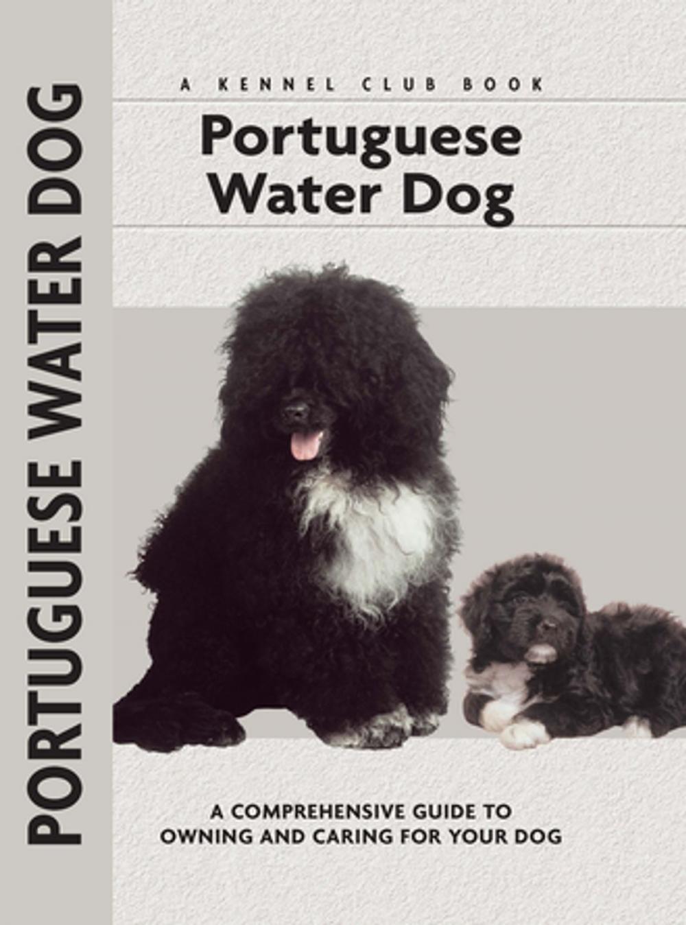 Big bigCover of Portuguese Water Dog
