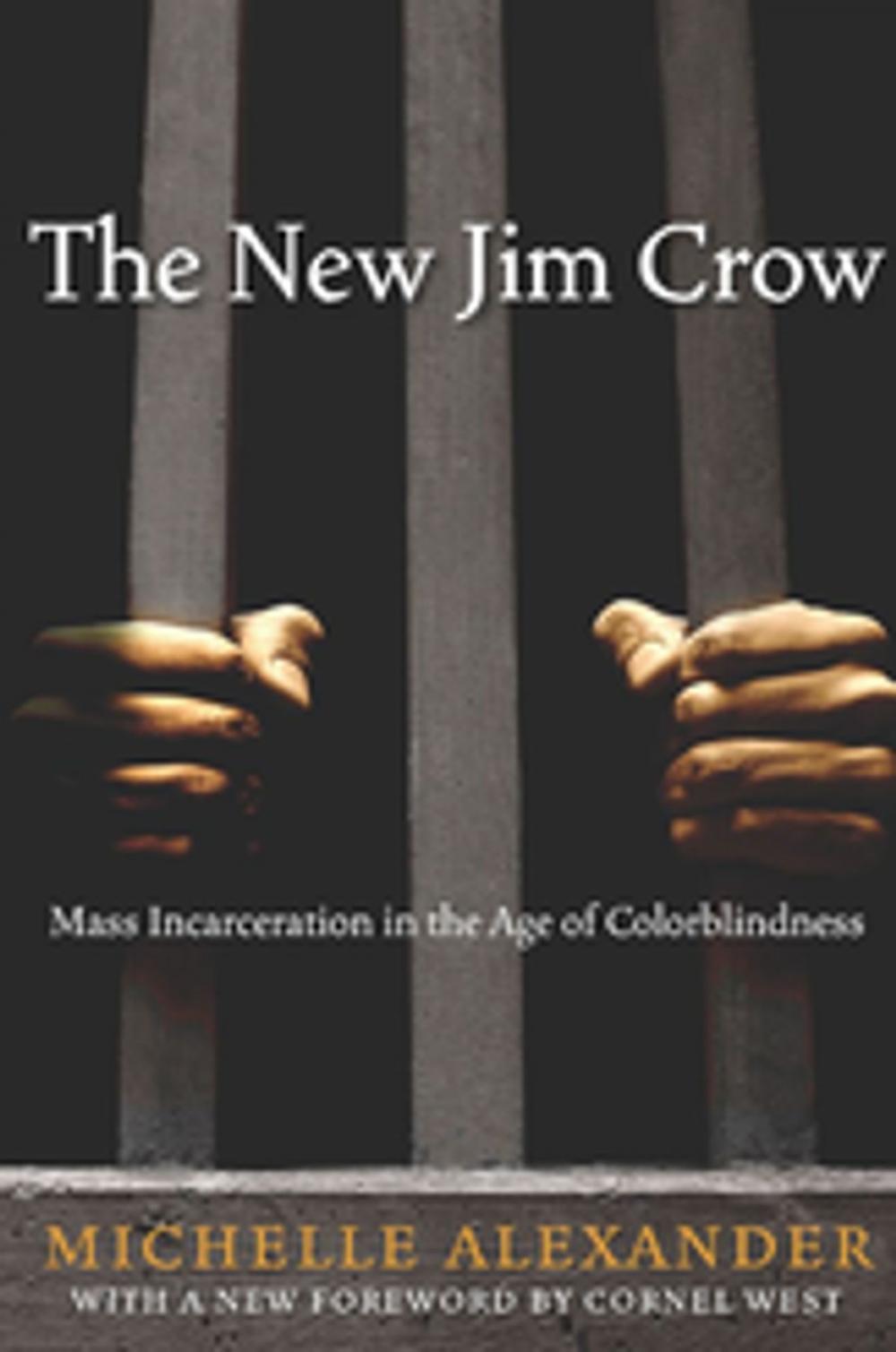 Big bigCover of The New Jim Crow