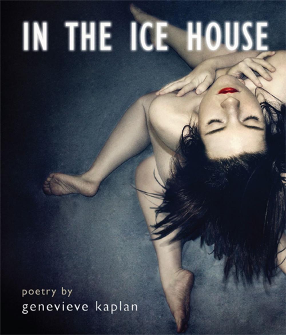 Big bigCover of In the ice house
