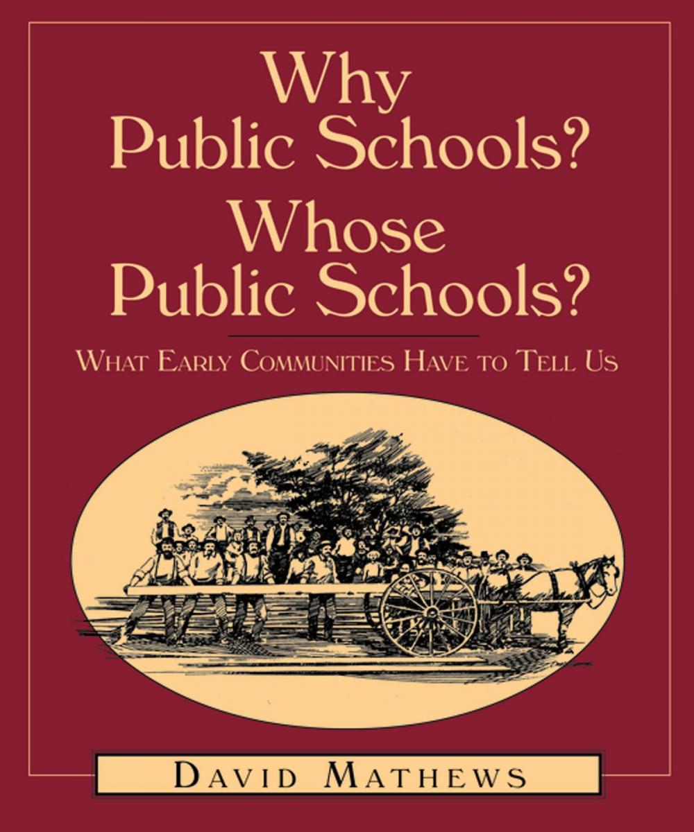 Big bigCover of Why Public Schools? Whose Public Schools?