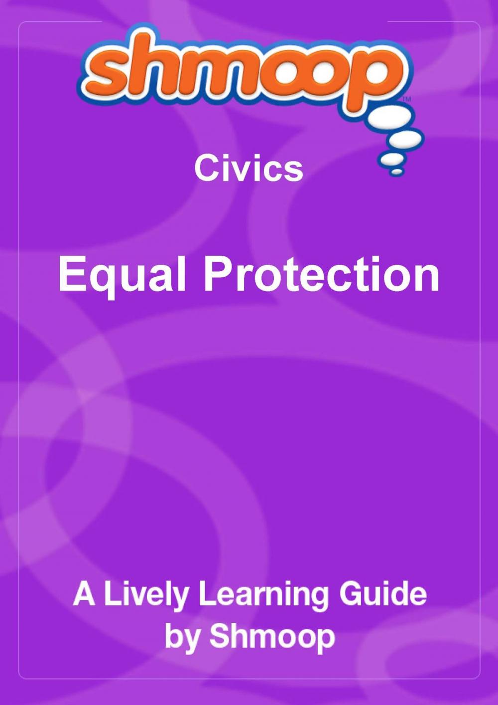 Big bigCover of Shmoop Civics Guide: Equal Protection