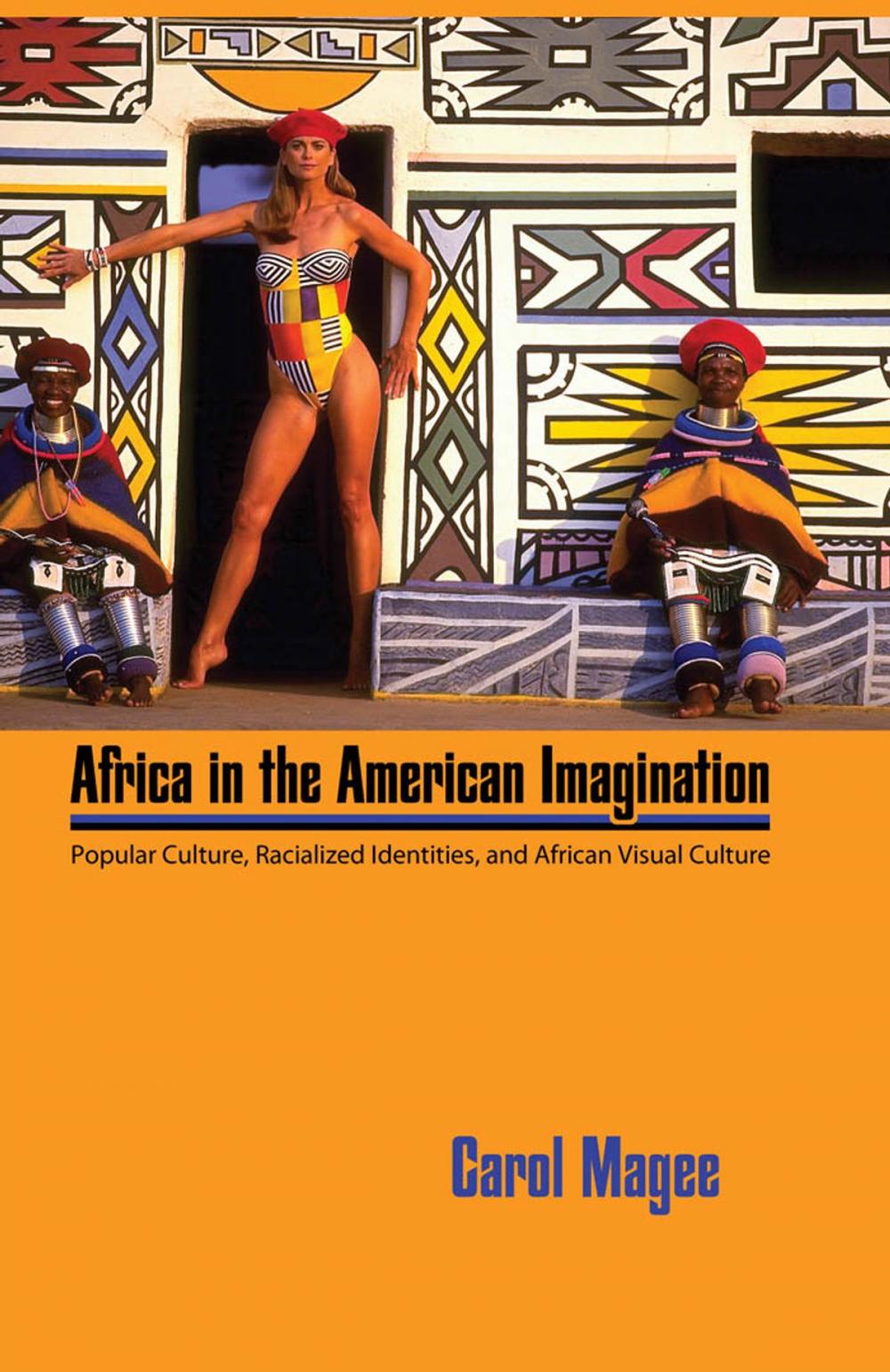 Big bigCover of Africa in the American Imagination