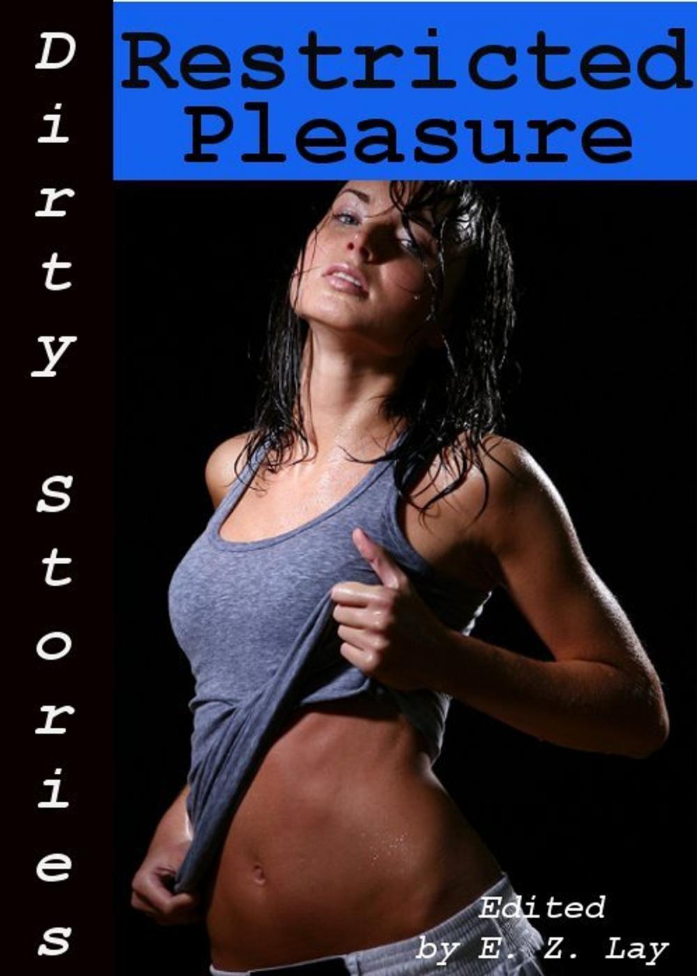 Big bigCover of Dirty Stories: Restricted Pleasure, Erotic Tales