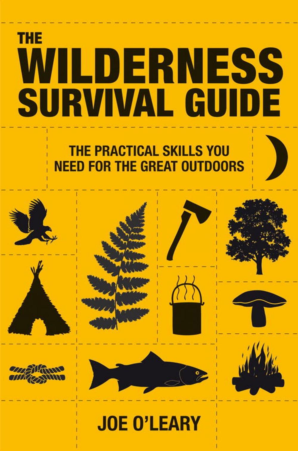 Big bigCover of The Wilderness Survival Guide