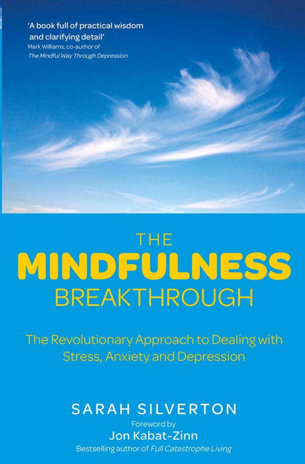 Big bigCover of The Mindfulness Breakthrough