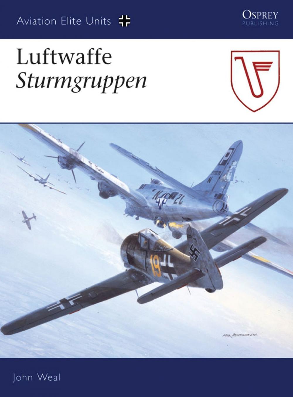 Big bigCover of Luftwaffe Sturmgruppen
