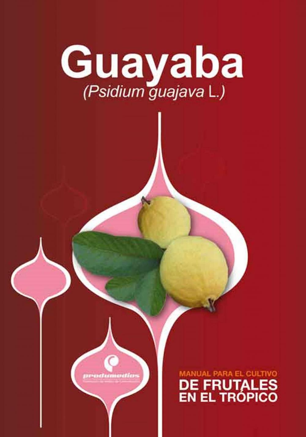 Big bigCover of Manual para el cultivo de frutales en el trópico. Guayaba