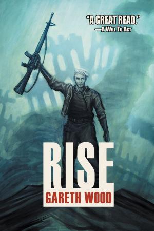 Cover of the book Rise by S.C. Parris