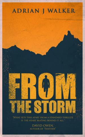 Book cover of From the Storm