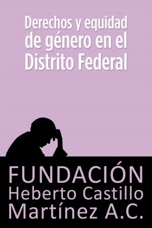 Cover of the book Derechos y equidad de género en el Distrito Federal by Fundación Heberto Castillo Martínez AC, María Teresa Juárez de Castillo, Dr. Enrique Semo Calev