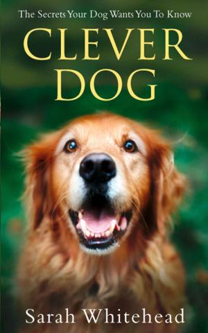 bigCover of the book Clever Dog: Understand What Your Dog is Telling You by 