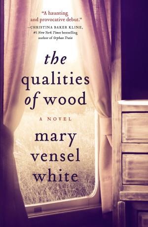 Cover of the book The Qualities of Wood by Laura Daleo