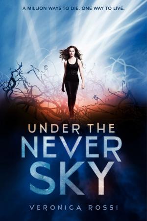 Cover of the book Under the Never Sky by Anna Carey