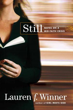 Cover of the book Still by Peter Enns