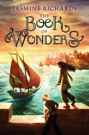 Cover of the book The Book of Wonders by Rachel Vincent