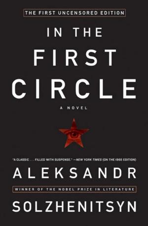 Cover of the book In the First Circle by Emmanuel C. Ezike II