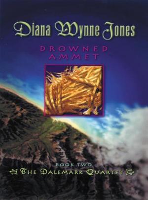 Cover of the book Drowned Ammet by Suzanne Harper