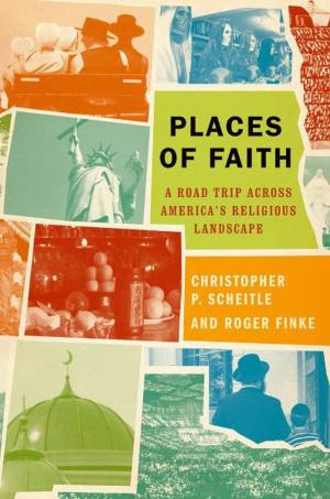 Cover of the book Places of Faith by Bruce Haynes