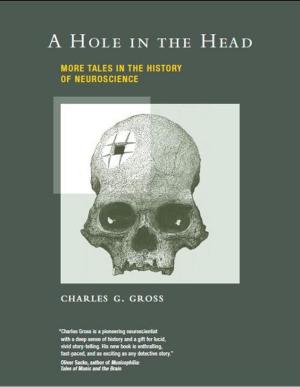 Cover of the book A Hole in the Head by S. Thomas Carmichael, John W. Krakauer