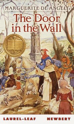 Cover of the book The Door in the Wall by Jerrica Knight-Catania