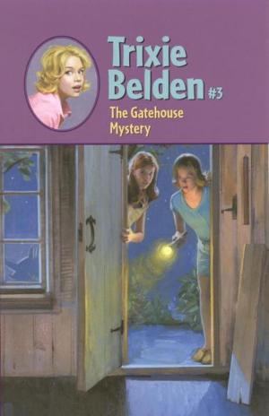 Cover of the book The Gatehouse Mystery by Gary Paulsen