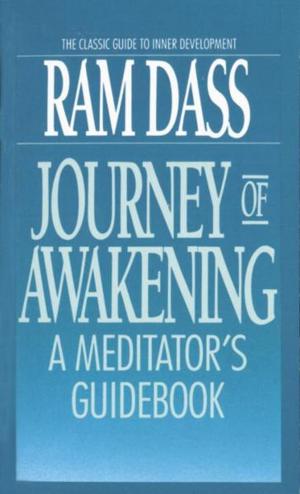 Cover of the book Journey of Awakening by Daniel Quinn