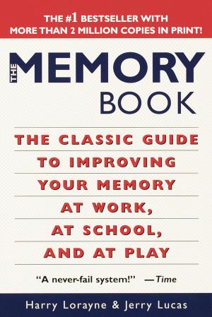 Book cover of The Memory Book