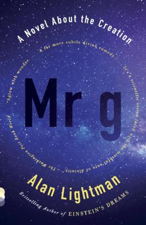 Cover of the book Mr g by Andrew Vachss