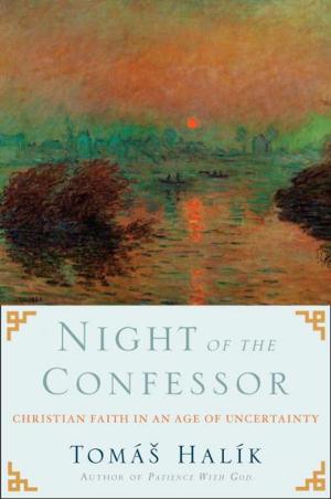 Cover of the book Night of the Confessor by Melanie Wells