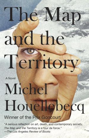 Cover of the book The Map and the Territory by Steven Millhauser