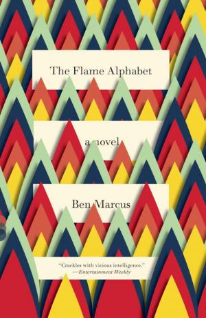 bigCover of the book The Flame Alphabet by 