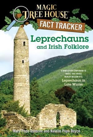 Cover of the book Leprechauns and Irish Folklore by David Almond