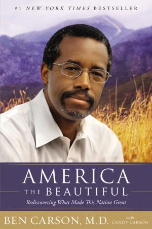 Cover of the book America the Beautiful by Nancy N. Rue