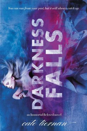 Cover of the book Darkness Falls by Whit McClendon