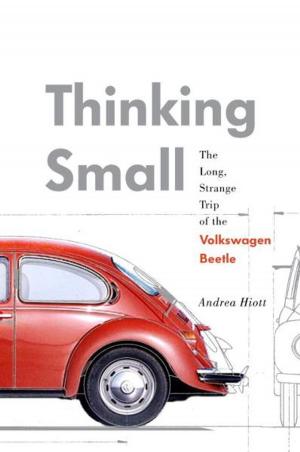 Cover of the book Thinking Small by Frank Delaney