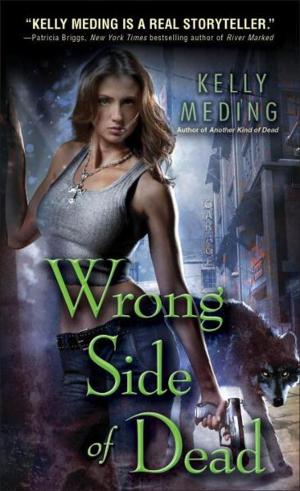 Cover of the book Wrong Side of Dead by David Gunn