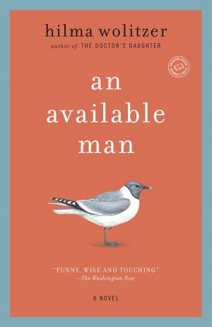 Book cover of An Available Man