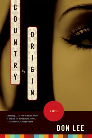 Book cover of Country of Origin: A Novel