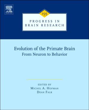 Cover of the book Evolution of the Primate Brain by R. Nolan Clark