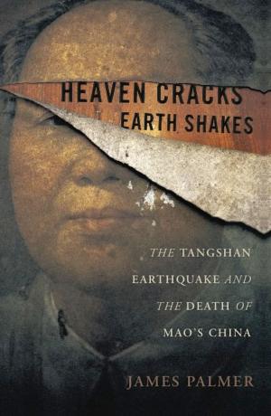 Cover of the book Heaven Cracks, Earth Shakes by Allan A. Kennedy