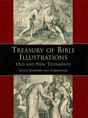 Book cover of Treasury of Bible Illustrations: Old and New Testaments