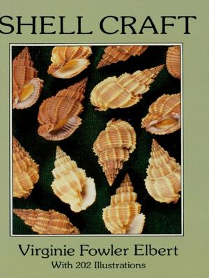 Cover of the book Shell Craft by N. Curle