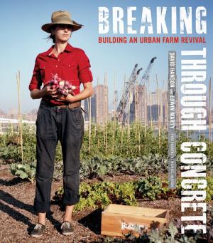 Cover of the book Breaking Through Concrete by Joel Best, Eric Best
