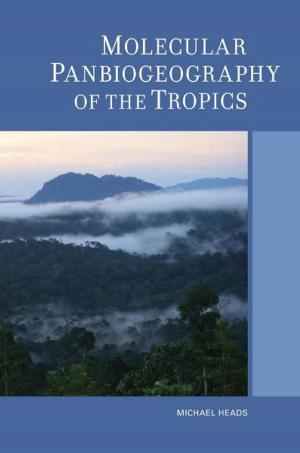 Cover of the book Molecular Panbiogeography of the Tropics by Guthrie P. Ramsey Jr.