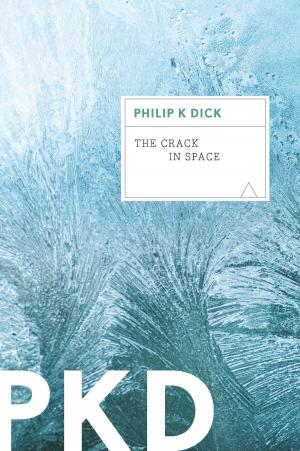 Cover of the book The Crack in Space by Eve Bunting