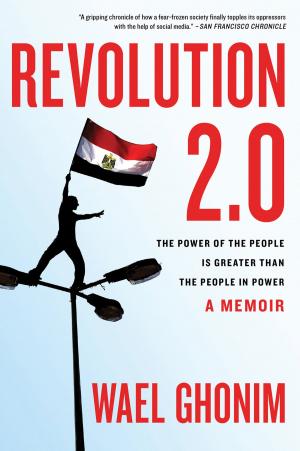 Book cover of Revolution 2.0