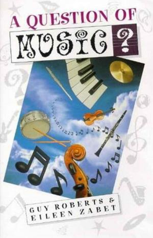 Cover of the book Question of Music by Dr. Brian Austen BSc (Econ) MA. Mphil PhD