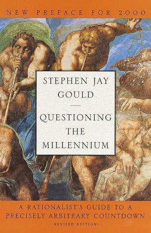 Book cover of Questioning the Millennium