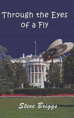 Book cover of Through the Eyes of a Fly